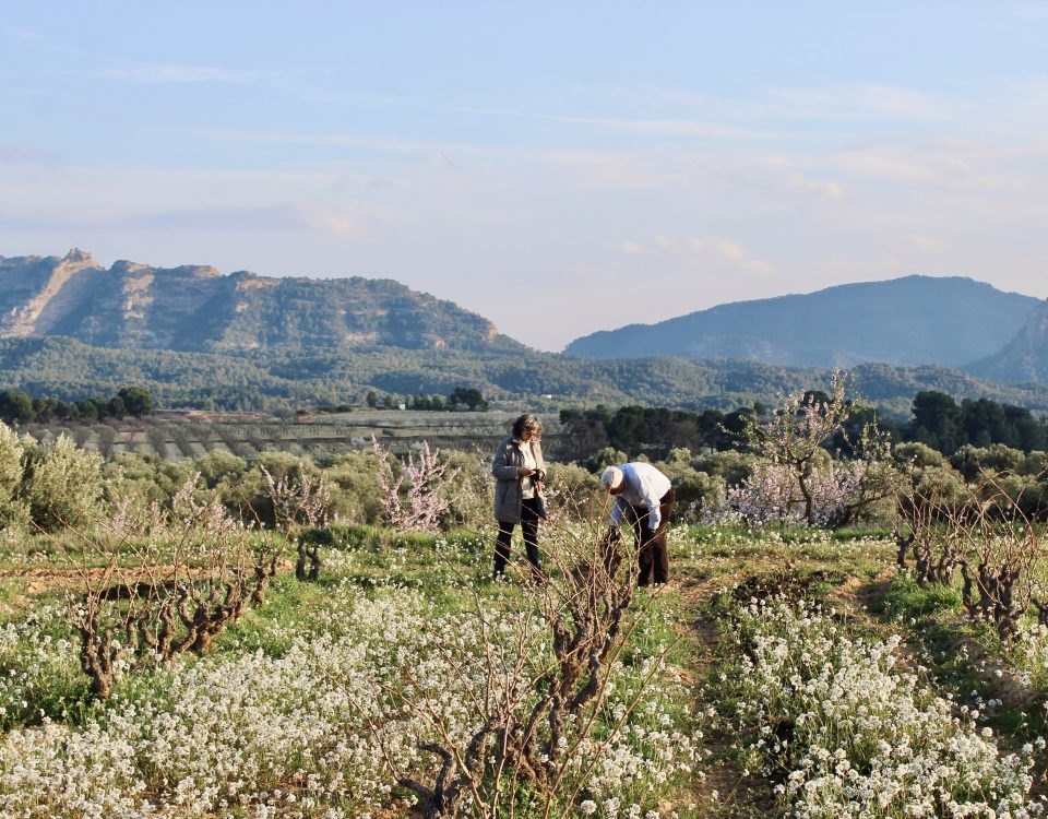 tast de primavera