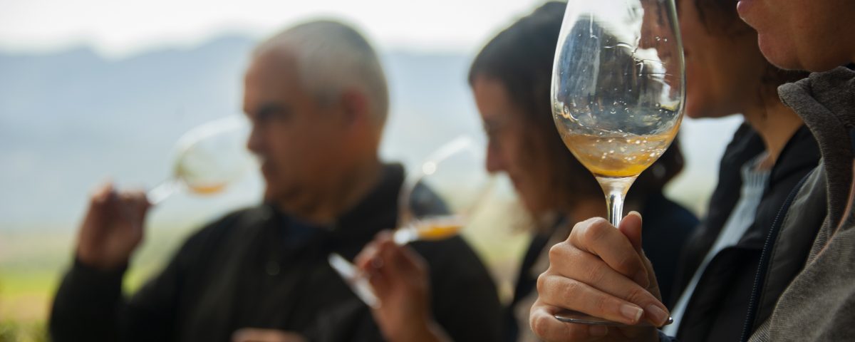 Celler Bàrbara Forés - Tast de primavera
