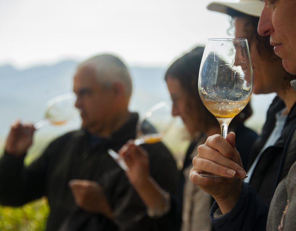 Celler Bàrbara Forés - Tast de primavera