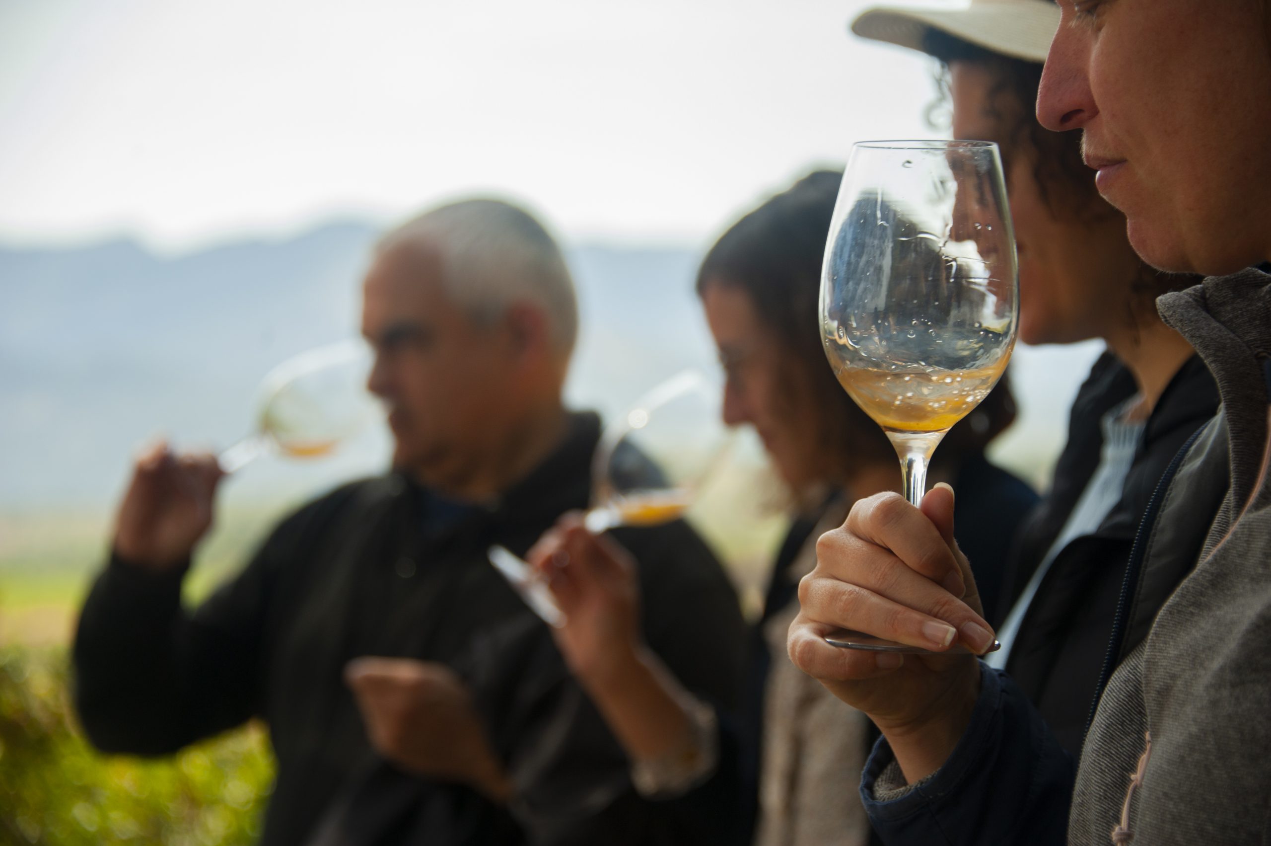 Celler Bàrbara Forés - Tast de primavera
